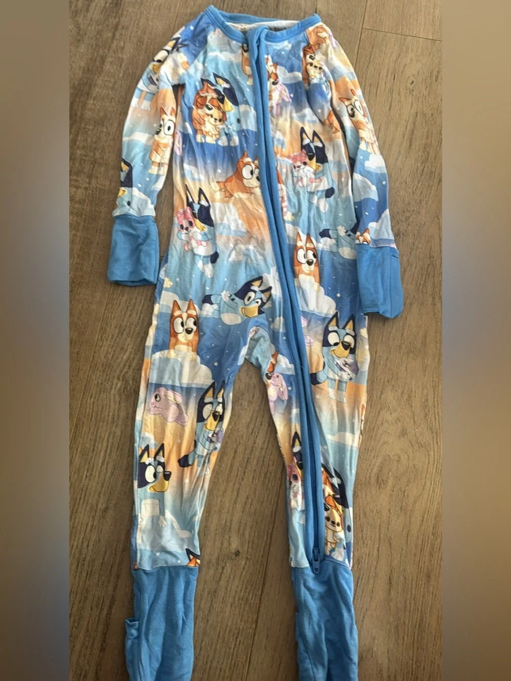 Blue Kids One-Piece Zipper Sleepwear with Cartoon Pup Print little Sleepies 6-12